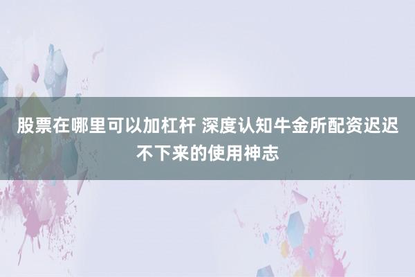 股票在哪里可以加杠杆 深度认知牛金所配资迟迟不下来的使用神志
