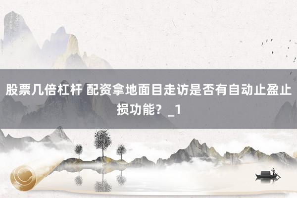 股票几倍杠杆 配资拿地面目走访是否有自动止盈止损功能？_1