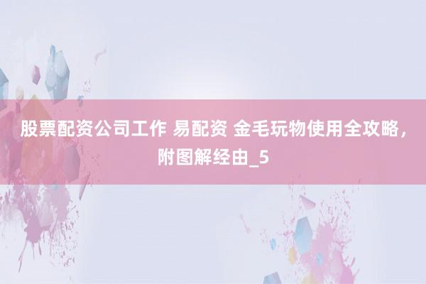 股票配资公司工作 易配资 金毛玩物使用全攻略，附图解经由_5