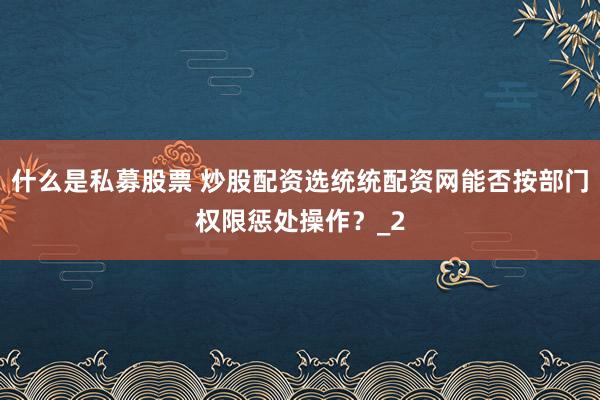 什么是私募股票 炒股配资选统统配资网能否按部门权限惩处操作？_2