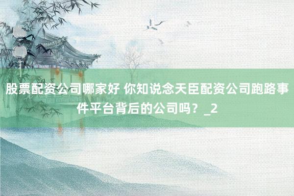 股票配资公司哪家好 你知说念天臣配资公司跑路事件平台背后的公司吗？_2