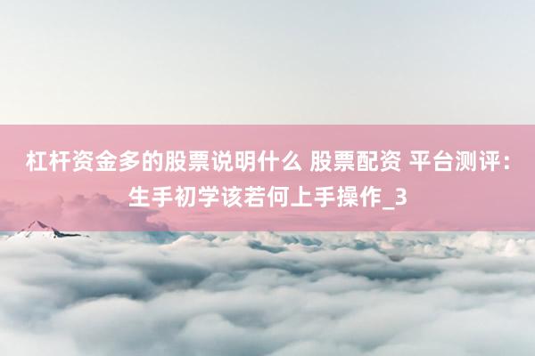 杠杆资金多的股票说明什么 股票配资 平台测评：生手初学该若何上手操作_3