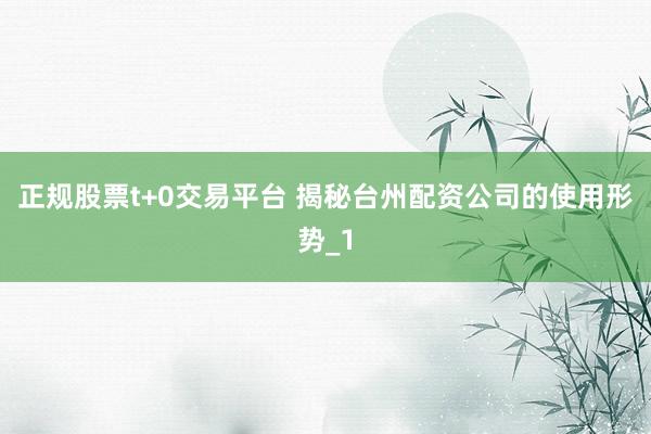 正规股票t+0交易平台 揭秘台州配资公司的使用形势_1