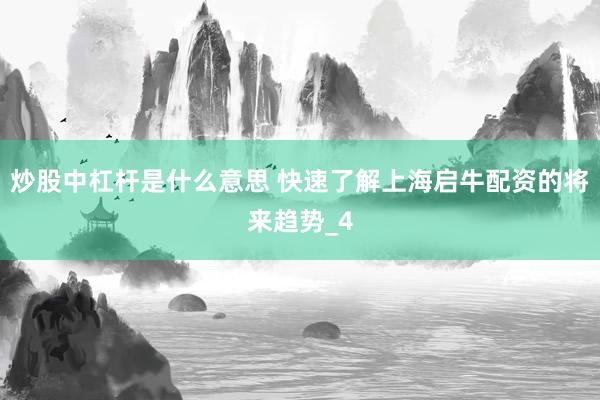 炒股中杠杆是什么意思 快速了解上海启牛配资的将来趋势_4