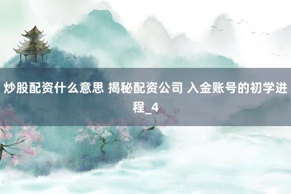 炒股配资什么意思 揭秘配资公司 入金账号的初学进程_4