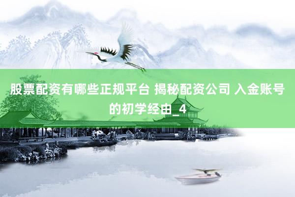 股票配资有哪些正规平台 揭秘配资公司 入金账号的初学经由_4