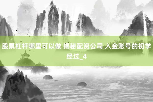 股票杠杆哪里可以做 揭秘配资公司 入金账号的初学经过_4