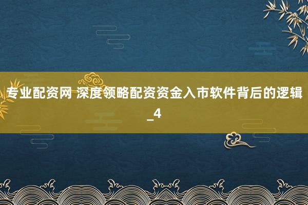 专业配资网 深度领略配资资金入市软件背后的逻辑_4