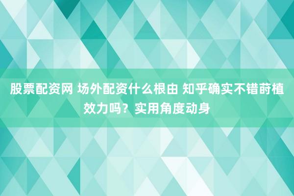 股票配资网 场外配资什么根由 知乎确实不错莳植效力吗？实用角度动身