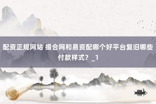 配资正规网站 撮合网和易资配哪个好平台复旧哪些付款样式？_1
