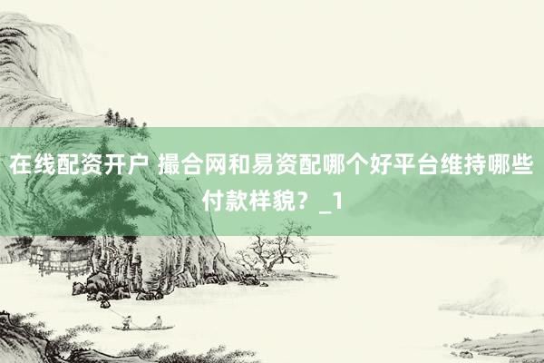 在线配资开户 撮合网和易资配哪个好平台维持哪些付款样貌？_1