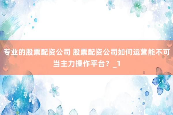 专业的股票配资公司 股票配资公司如何运营能不可当主力操作平台？_1