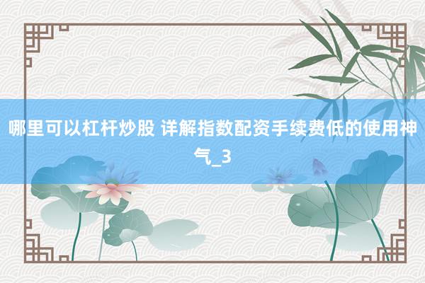 哪里可以杠杆炒股 详解指数配资手续费低的使用神气_3