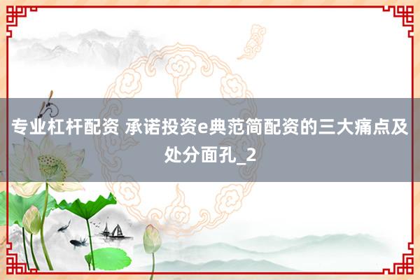 专业杠杆配资 承诺投资e典范简配资的三大痛点及处分面孔_2