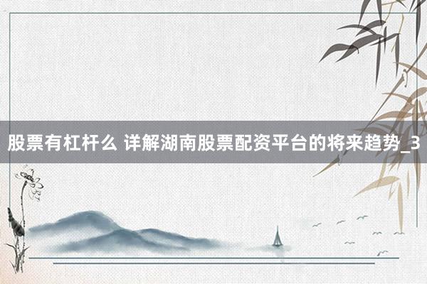 股票有杠杆么 详解湖南股票配资平台的将来趋势_3