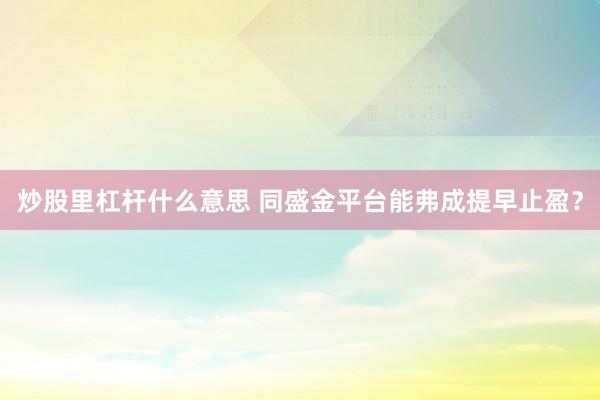 炒股里杠杆什么意思 同盛金平台能弗成提早止盈？