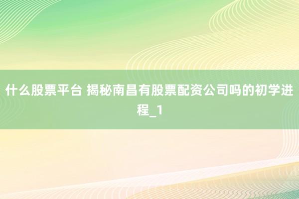 什么股票平台 揭秘南昌有股票配资公司吗的初学进程_1
