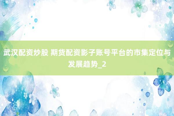 武汉配资炒股 期货配资影子账号平台的市集定位与发展趋势_2