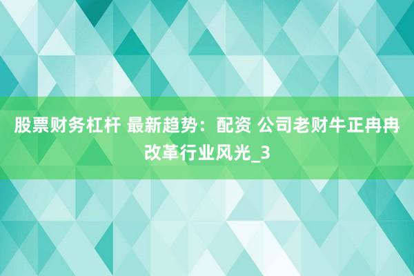 股票财务杠杆 最新趋势：配资 公司老财牛正冉冉改革行业风光_3