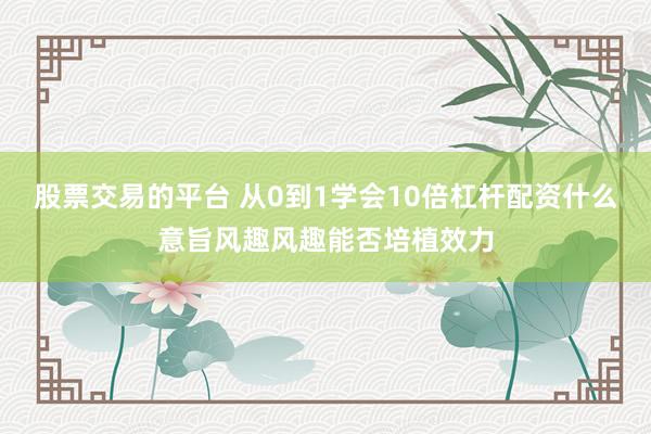 股票交易的平台 从0到1学会10倍杠杆配资什么意旨风趣风趣能否培植效力
