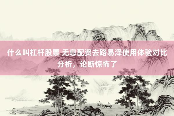 什么叫杠杆股票 无息配资去路易泽使用体验对比分析，论断惊怖了