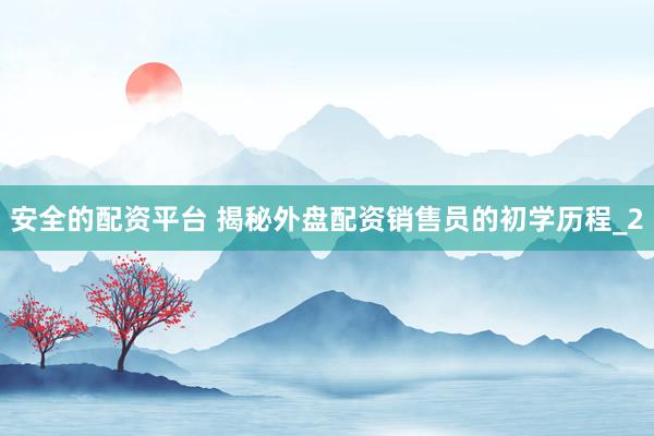 安全的配资平台 揭秘外盘配资销售员的初学历程_2