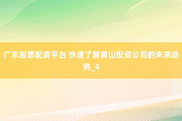 广东股票配资平台 快速了解黄山配资公司的未来趋势_4