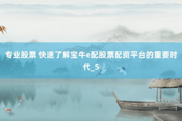专业股票 快速了解宝牛e配股票配资平台的重要时代_5