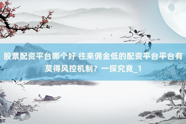 股票配资平台哪个好 往来佣金低的配资平台平台有莫得风控机制？一探究竟_1